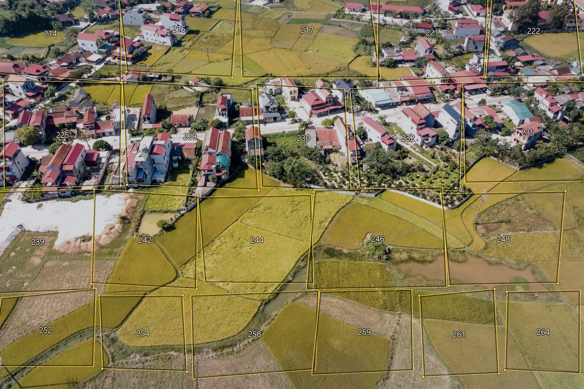 Aynı arazi üzerine işlenmiş parsel sınırları ve numaraları